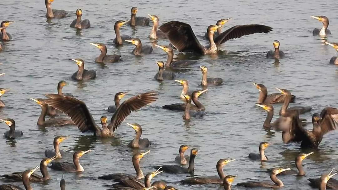 5 Loaves 2 Fish B&B Хуалянь Номер фото